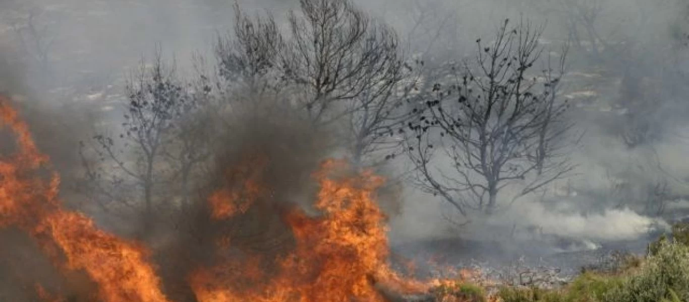 Κοζάνη: Φωτιά σε δασική έκταση στο Καπνοχώρι